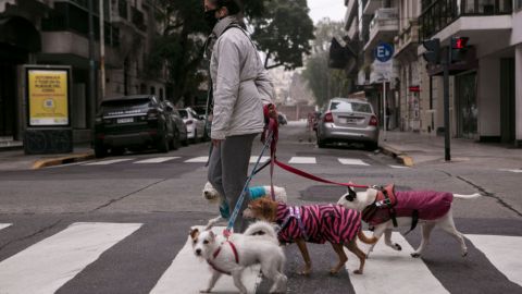 Autoridades recomiendan cuidar responsablemente de nuestros animales.