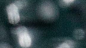 Joe Kelly de los Dodgers y Carlos Correa de los  Astros se encaran.