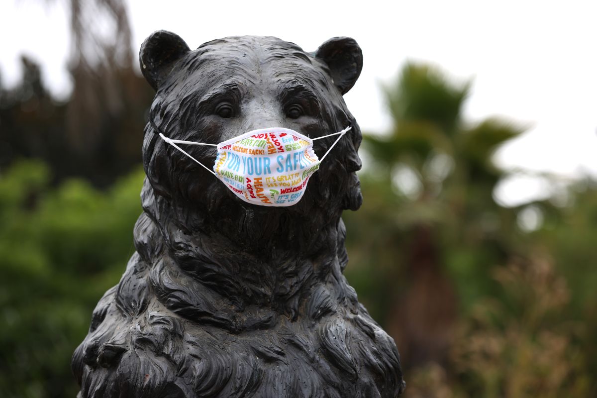La estatua de un oso, símbolo de California, en el zoológico de Oakland.