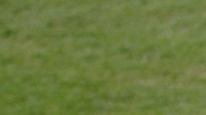 El béisbol de las Ligas Mayores ha adoptado un distintivo para recordar el 9 de septiembre.