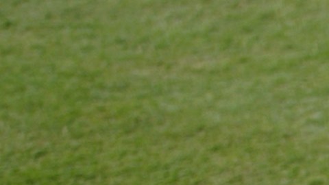 El béisbol de las Ligas Mayores ha adoptado un distintivo para recordar el 9 de septiembre.