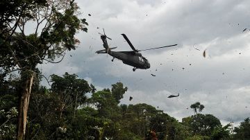 En la aeronave viajan 17 integrantes del Ejército colombiano.