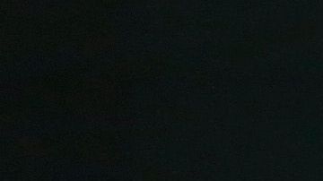 El presidente Trump compartió el video la mañana de este domingo.