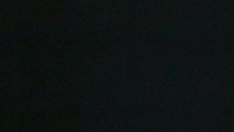 El presidente Trump compartió el video la mañana de este domingo.