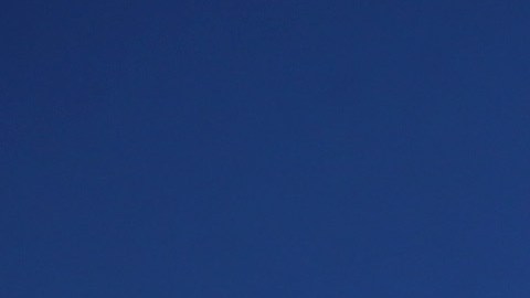 Un aspecto del State Fair en Dallas, sede de la feria estatal.