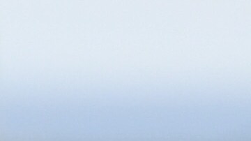 El presidente Trump habría incurrido en conflicto de interés.