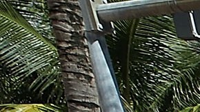 Turistas cargando maletas en Miami Beach.