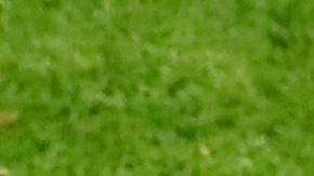 Antoine Griezmann con su padre en su etapa con el Atlético de Madrid.