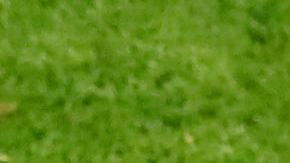 Antoine Griezmann con su padre en su etapa con el Atlético de Madrid.