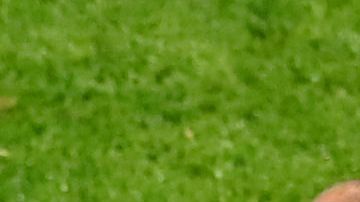 Antoine Griezmann con su padre en su etapa con el Atlético de Madrid.