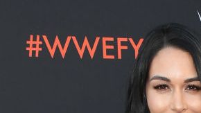 Nikki y Brie Bella antes del embarazo.