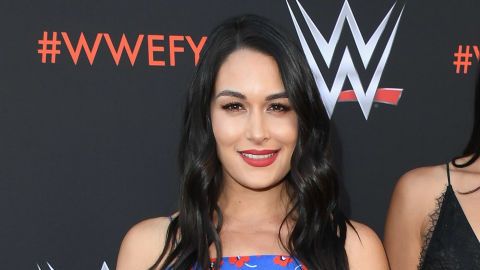 Nikki y Brie Bella antes del embarazo.