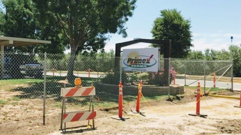 La compañía Primex Farms esta en Wasco, California. (Suministrada)