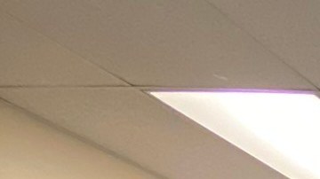 Representantes de organizaciones presentan la guía de recursos. (Suministrada)