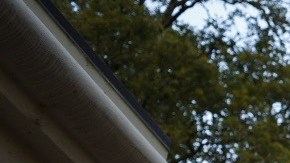 Un grupo de inmigrantes se encadenó a la mansión del gobernador Gavin Newsom para pedir la liberación de presos para prevenir el contagio de COVID-19. (Cortesía Brooke Anderson)