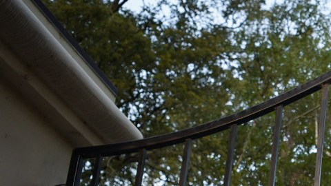Un grupo de inmigrantes se encadenó a la mansión del gobernador Gavin Newsom para pedir la liberación de presos para prevenir el contagio de COVID-19. (Cortesía Brooke Anderson)