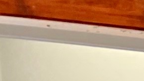 Andrés Webster con su esposa Patricia Cabrera, y sus hijos Andrés y Alfa en el Café Goki. (Araceli Martínez/La Opinion)