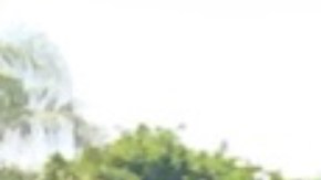 El programa ayuda a la tercera edad y a los negocios. (Suministrada)