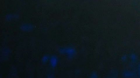 Saúl ÁLvarez vs Gennady Golovkin