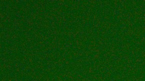 Guillermo Almada, entrenador del Santos.