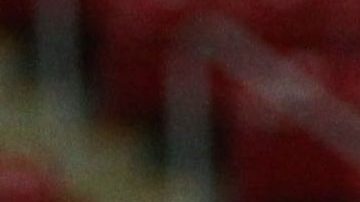 Norma Palafox tiene el sueño de ir a Europa.