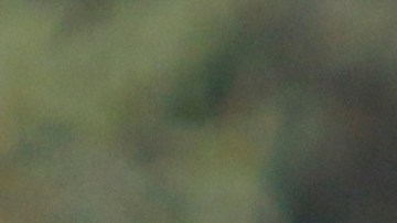 Miguel González 'Míchel', en un entrenamiento con Pumas.