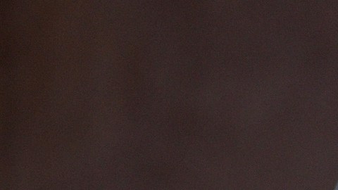 La Liga MX arrancará hasta el viernes 24 de julio.