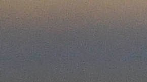 Ricardo Peláez reclamó airadamente.