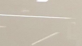 Adelaida Campos Valle, cofundadora y presidenta de la Asociación de Actuarios Latinos en Estados Unidos. (Cortesía Adelaida Campos Valle)