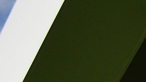 Lewis Hamiltón y su perro