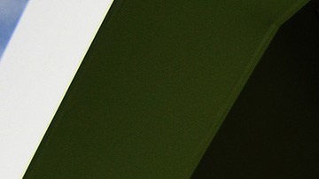 Lewis Hamiltón y su perro