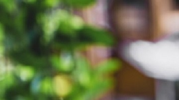 No deseches la piel de la manzana ya que eliminas gran parte de la fibra