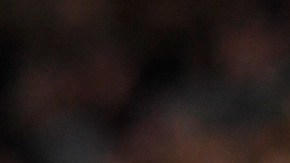 Marcelo Bielsa asciende Leeds