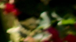 Otilia García expresó su alegría al recoger en una caja de cartón verduras.