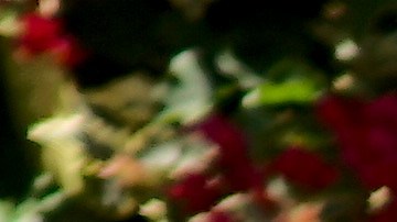 Otilia García expresó su alegría al recoger en una caja de cartón verduras.