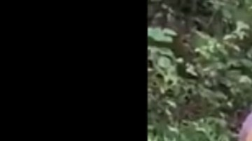 Las mujeres mantuvieron la calma en todo momento.