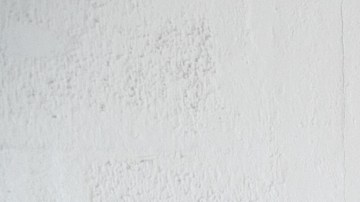 PLW Mind Body Love 4