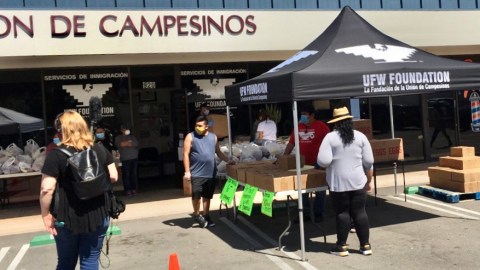 La UFW ha estado ayudando a los campesinos durante la pandemia. (UFW)
