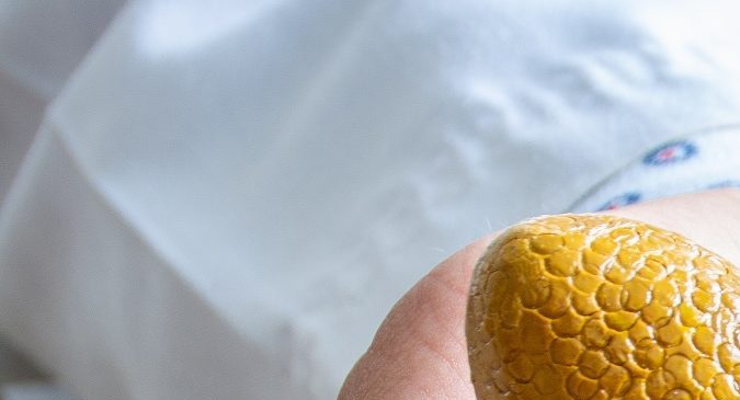 Suplementos para la salud de tus riñones.