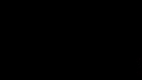 ScamShield T Mobile