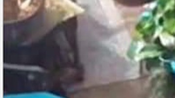 Momento en que el pequeño gato fue robado en South Gate.