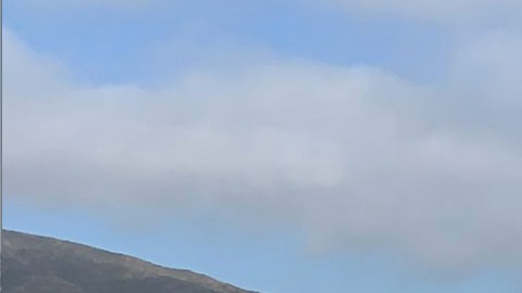 La aeronave que aterrizó de emergencia siendo removida del Freeway 5.