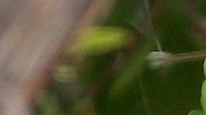 Ben Affleck y Ana de Armas