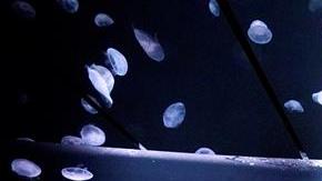 El depósito se eleva desde el nivel del suelo en una habitación semioscura.