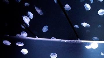 El depósito se eleva desde el nivel del suelo en una habitación semioscura.