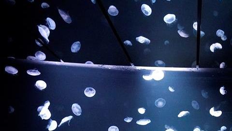 El depósito se eleva desde el nivel del suelo en una habitación semioscura.