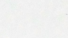 Legisladores demócratas apuestan por otro pago único de $1,200.