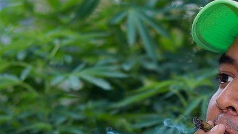 Los activistas mantienen el Plantón 420 frente al Senado.
