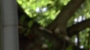 El alcalde Carlos Giménez durante una conferencia de prensa en Miami.