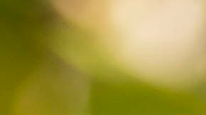 Alejandro García espera que la pandemia termine para comenzar la primera gira de su carrera. Foto: Universal Music